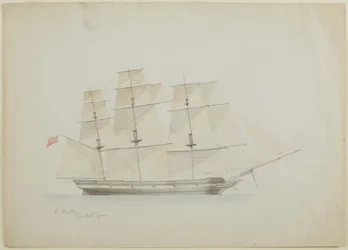 The Dorothy